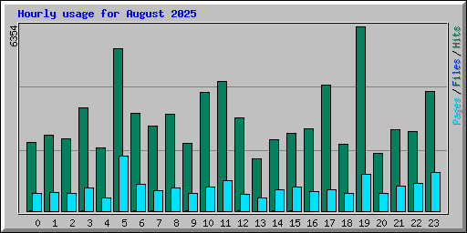 Hourly usage for August 2025